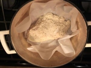 No Knead Bread - bread dough