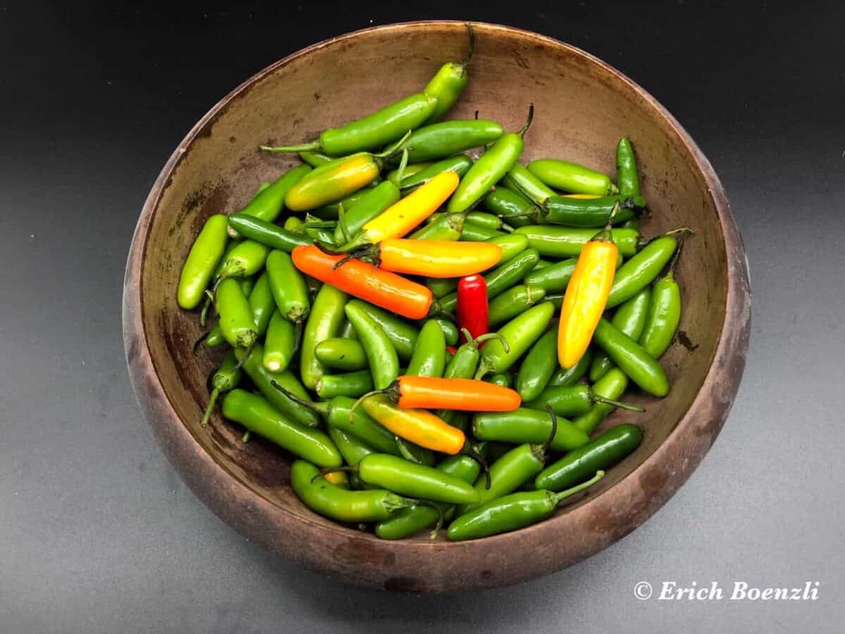 Wooden bowl filled with peppers.