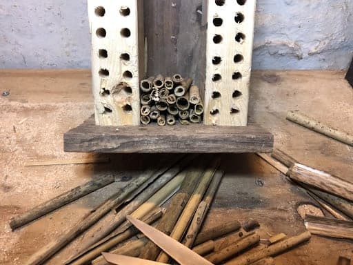 Stacking cut phragmites inside the mason bee hotel.