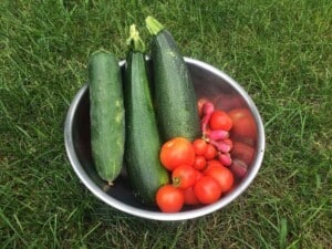 Garden Vegetables - Garden Harvest (Photo by Viana Boenzli)