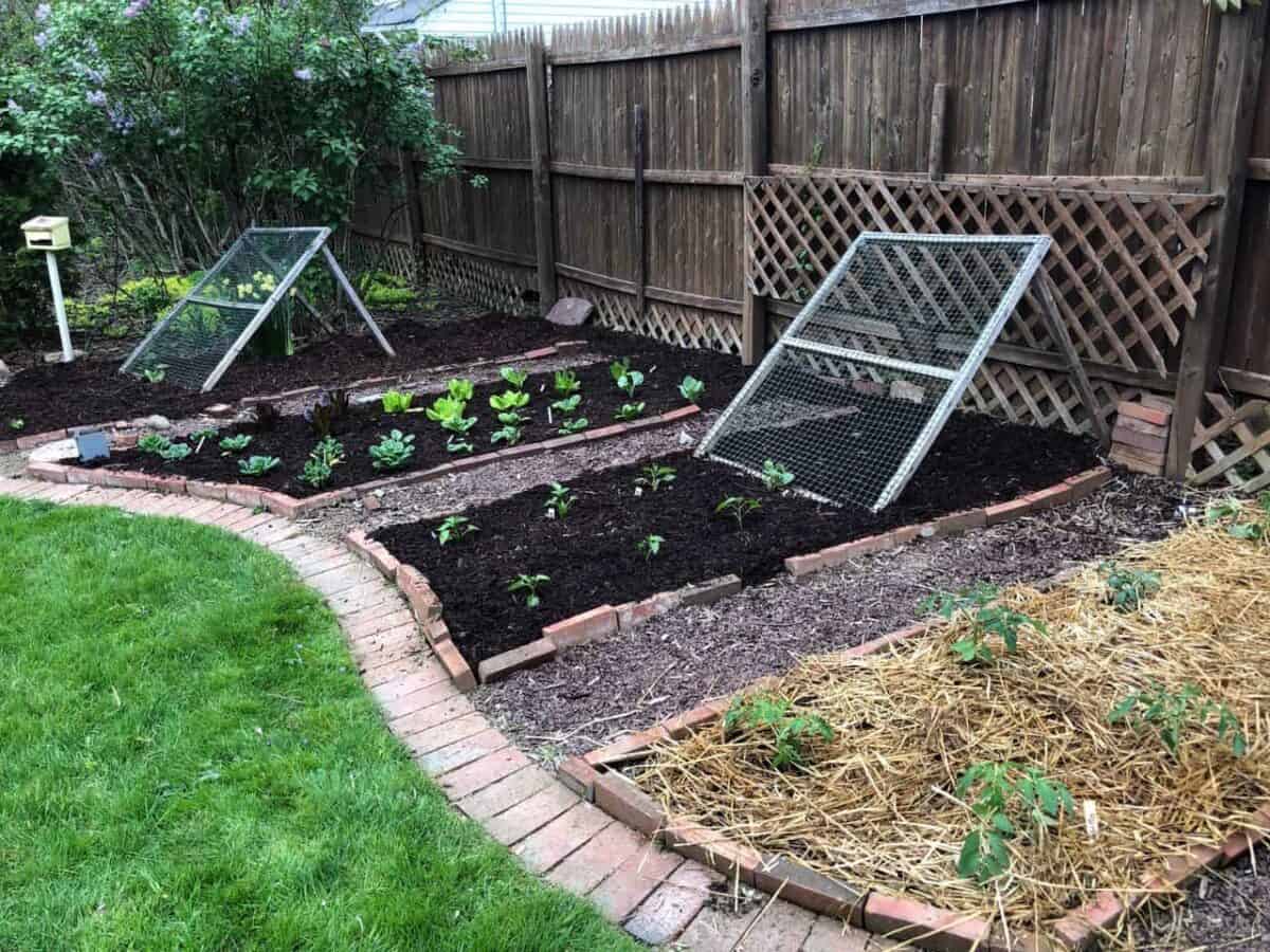 Trellises in the garden.