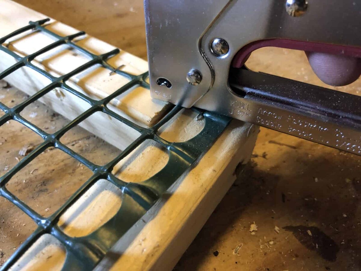 Stapling the plastic wire mesh onto the frame.