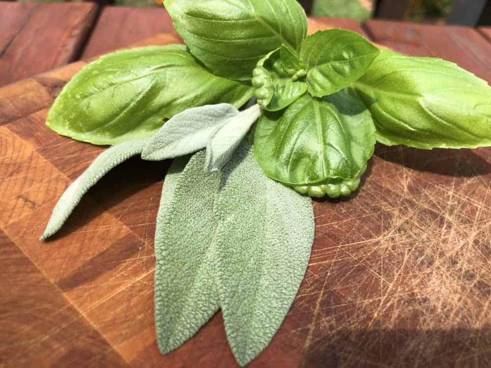 Garden fresh basil and sage.