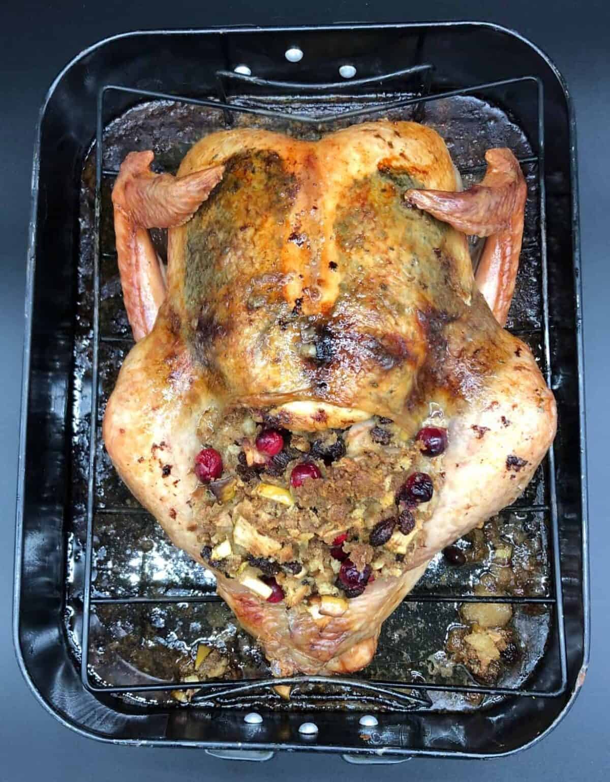 Finished turkey in roasting pan.
