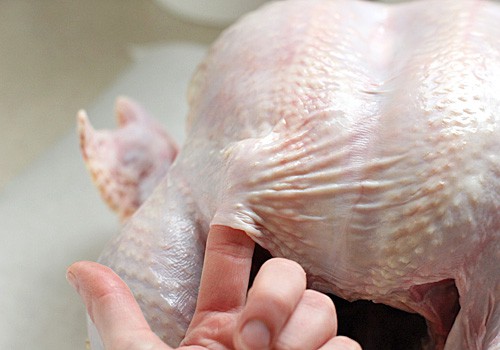 Thanksgiving - Use your fingers to get under the skin (Image courtesy of thegalleygourmet.net)