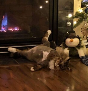 Chestnuts Roasting on an Open Fire - Just roasting some nuts