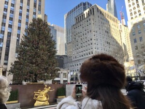 Tannenbaum - Probably the most famous of them all, the Christmas tree at Rockefeller Center (Photo by Erich Boenzli)