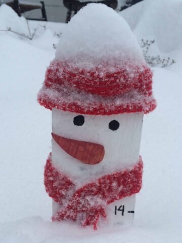 Snowman Measuring Stick - Over a foot of snow today! (Photo by Viana Boenzli)