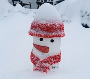 Snowman Measuring Stick - Over a foot of snow today! (Photo by Viana Boenzli)