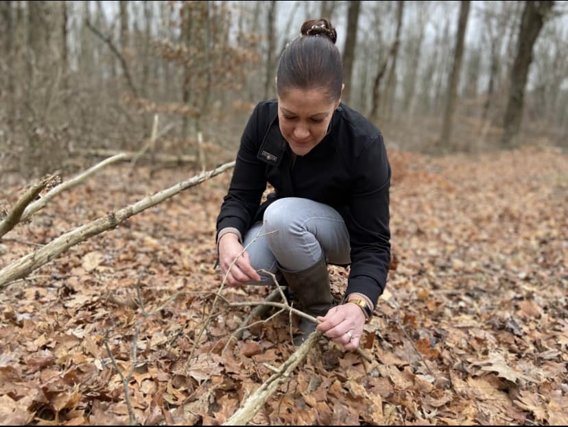 Viana finding small branches and twigs in the woods.