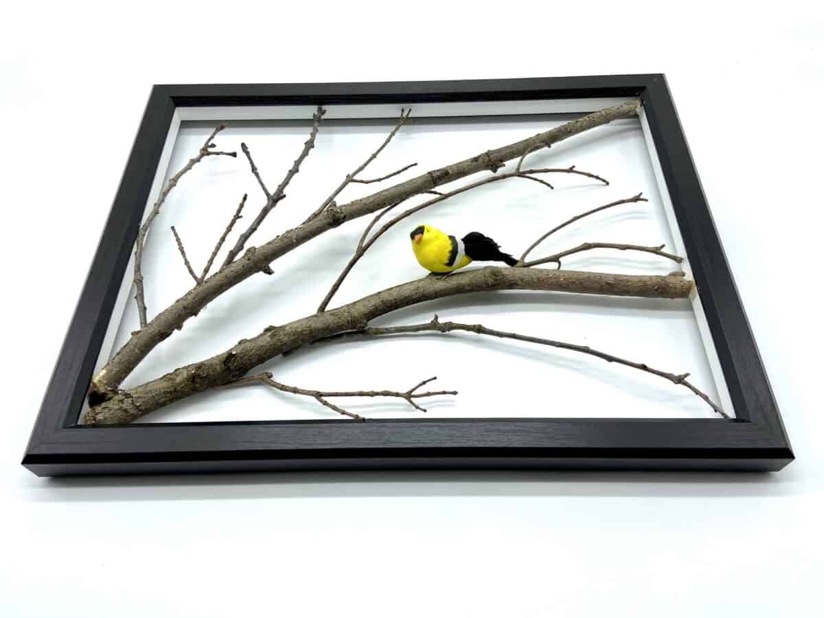 framed tree branch art