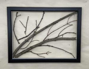 Tree Branch Art - (Photo by Viana Boenzli)