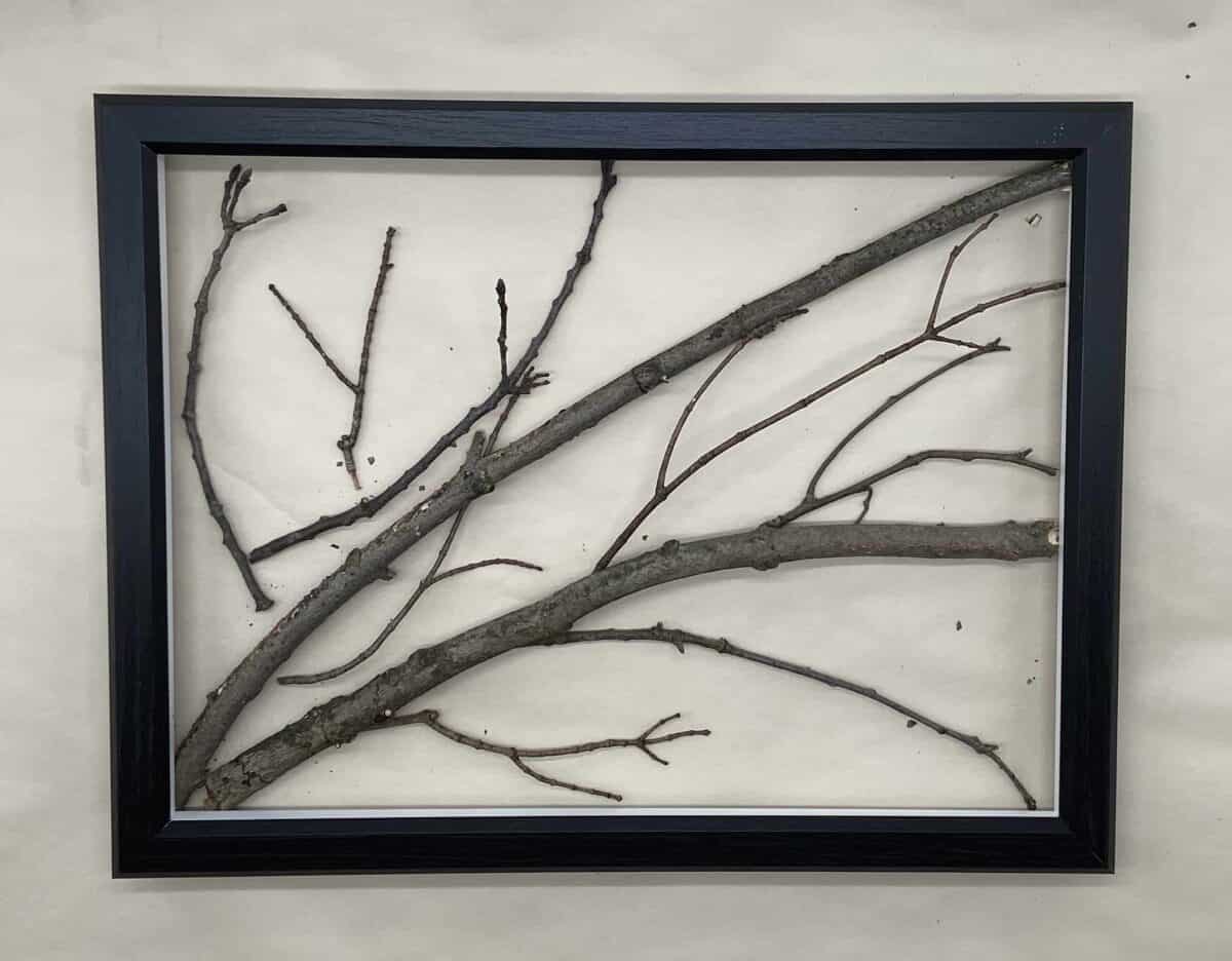 Branches glued into frame.