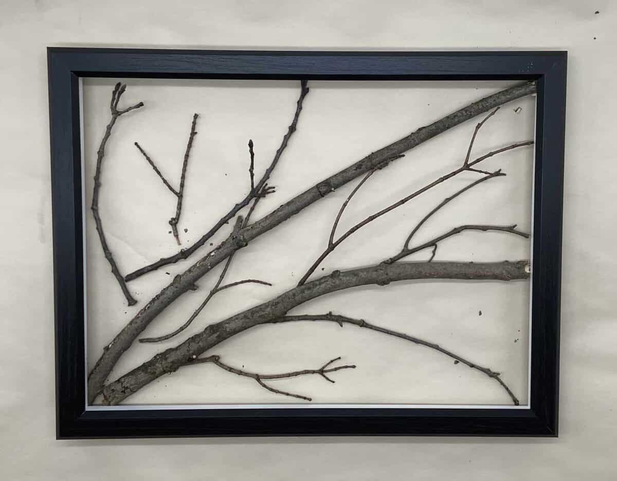 framed tree branch art