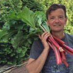 Perennial Vegetables - Rhubarb from our garden (Photo by Viana Boenzli)