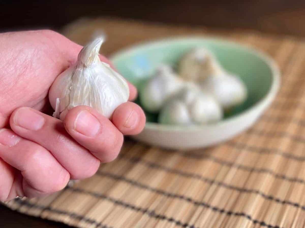 Holding a head of garlic.