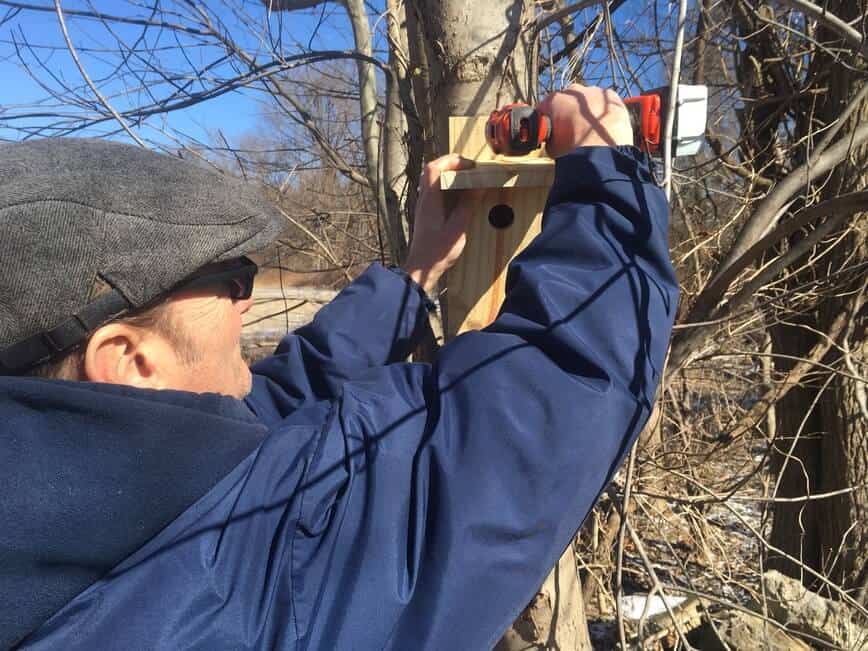 Erich hanging a nesting box on a tree.