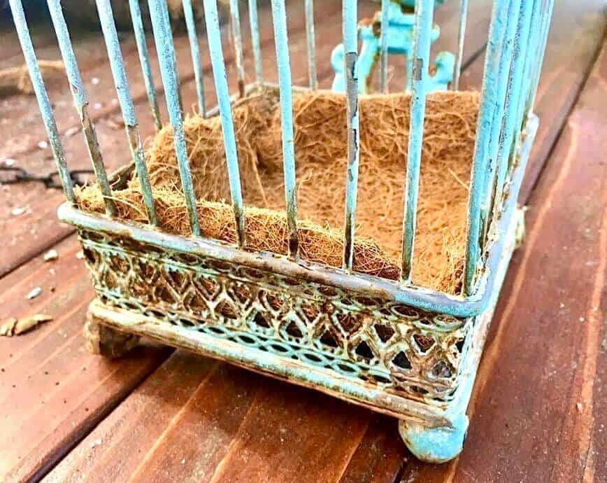 Coconut liner in bottom of birdcage.