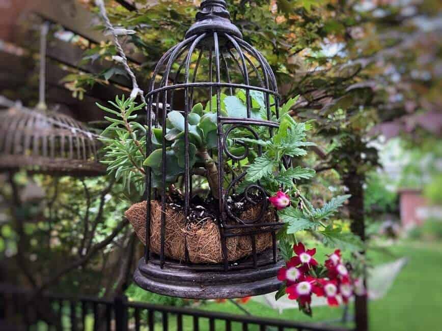 Small planter with succulents and flowers.