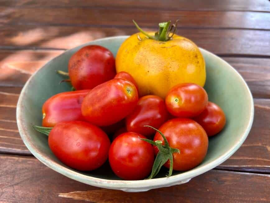 Fresh garden tomatoes in a bowl on a wooden table.