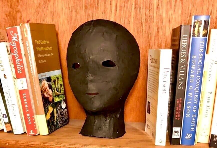 Mask sitting on a bookcase.