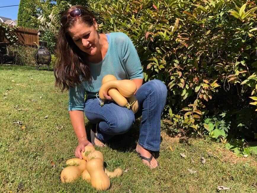 Viana harvesting butternut squash from the garden.