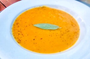 Roasted Butternut Squash Soup - Fall Flavors (Photo by Erich Boenzli)