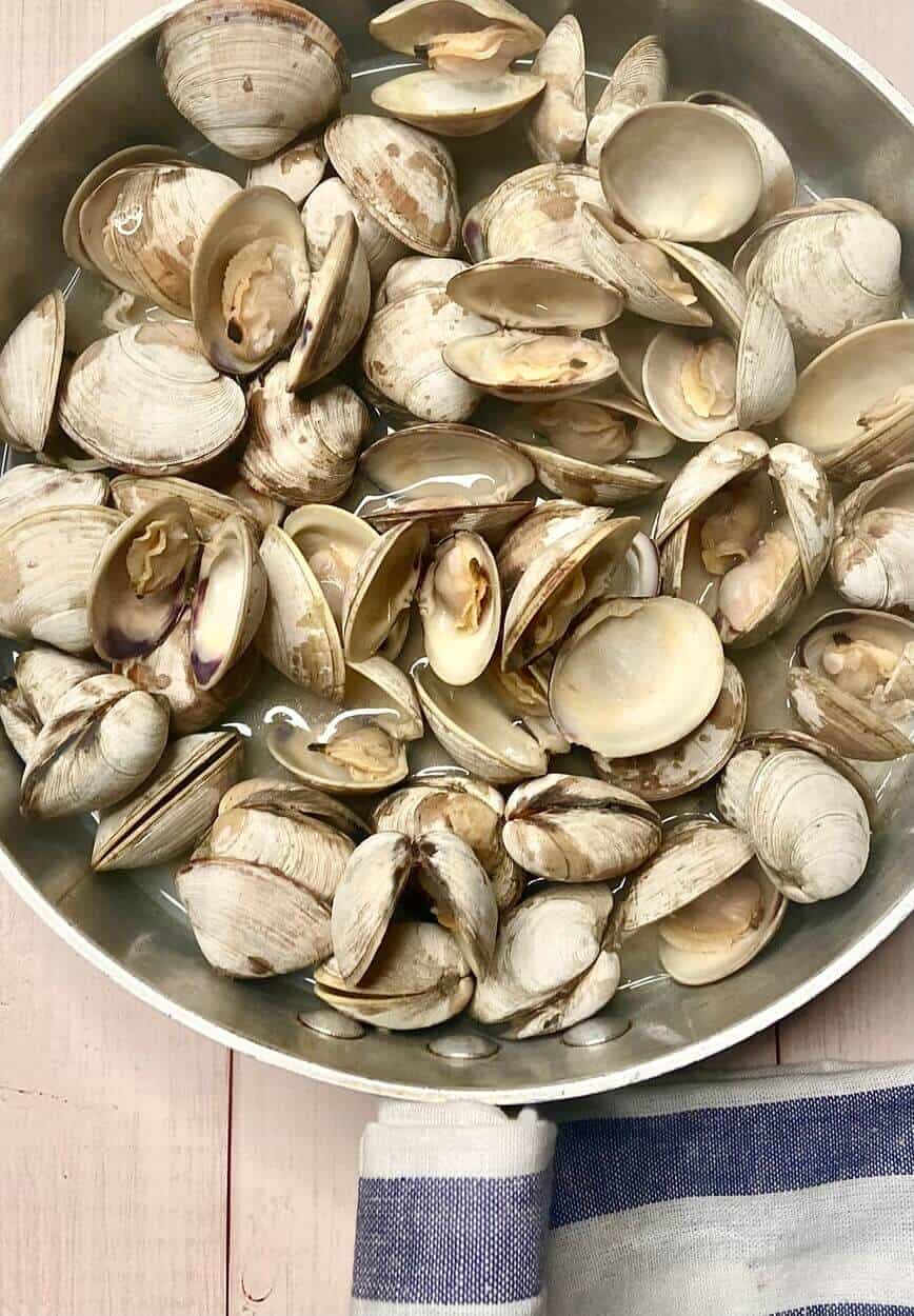 Open cooked clams in shell.