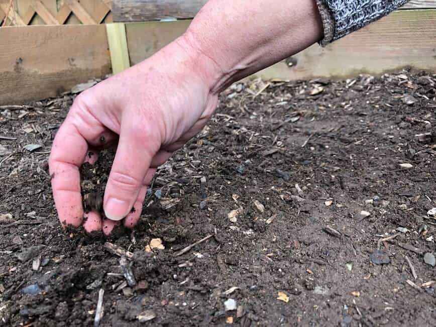 How to grow salad greens - Covering seeds with compost (Photo by Erich Boenzli)