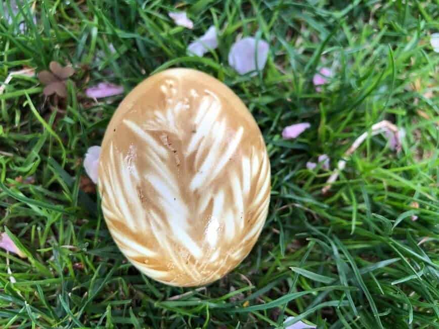 Light brown egg with grass pattern in white.