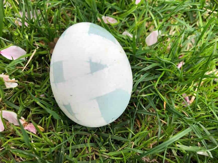 Light blue egg with wide stripes.