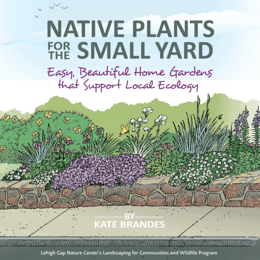 Native Plants for the Small Yard (Illustrations by Tom Maxfield; Designs by Kate Brandes)