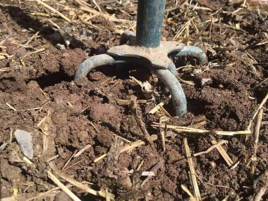 Plant Tomatoes - Tilling the soil (Photo by Viana Boenzli)