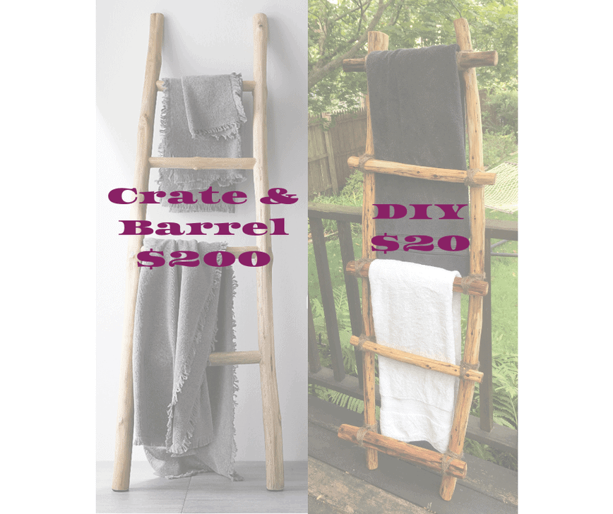 DIY Ladder - DIY Crate & Barrel ladder for a fraction of the price! (Photo by Viana Boenzli)