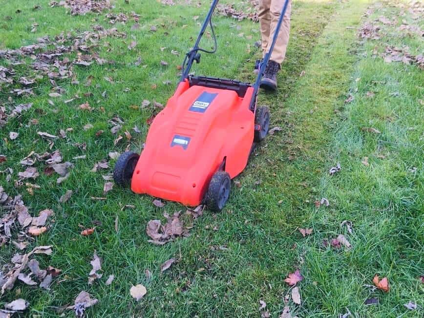 Leave the leaves Wildlife Habitat - Fertilizing the yard (Photo by Viana Boenzli)