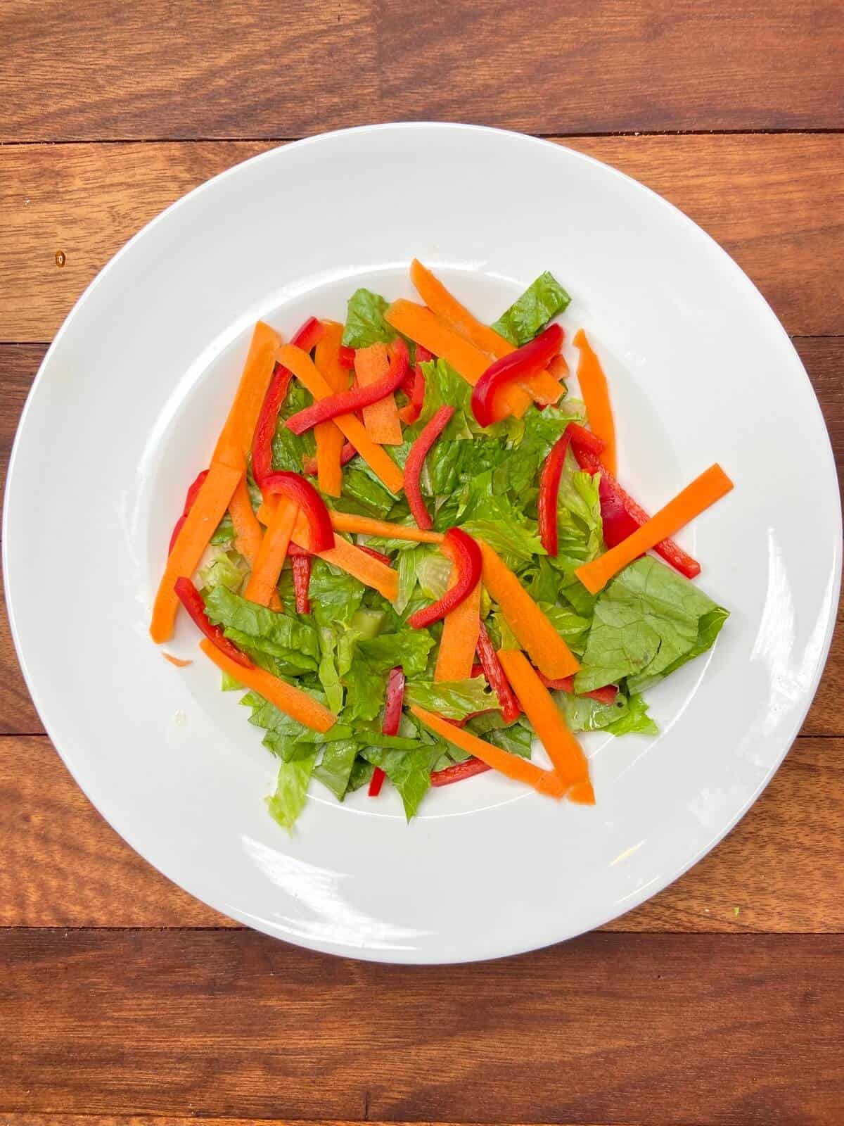 Lettuce and sliced carrots and red bell peppers on a white plate.