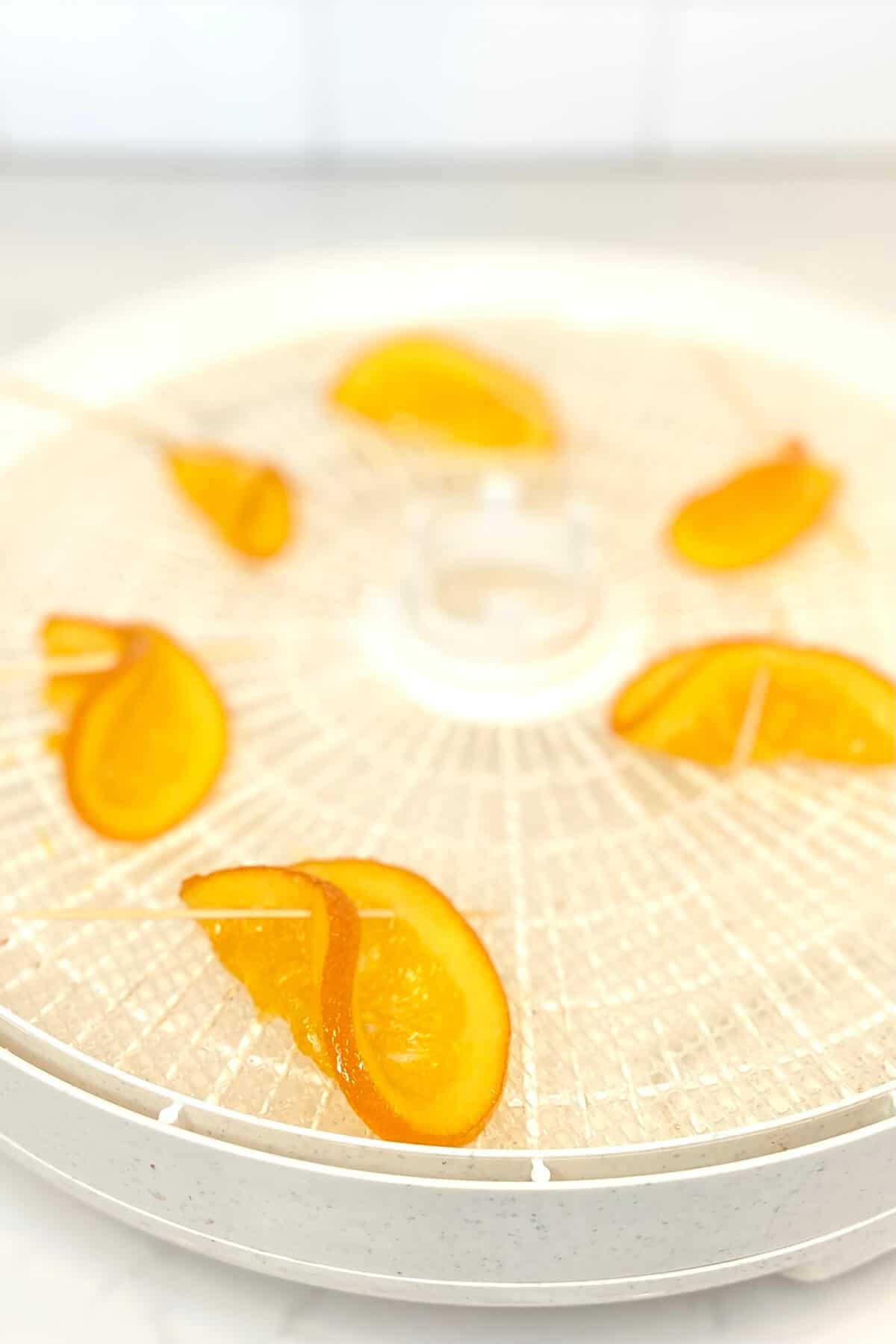 Orange slices curled, with toothpicks holding them in position.