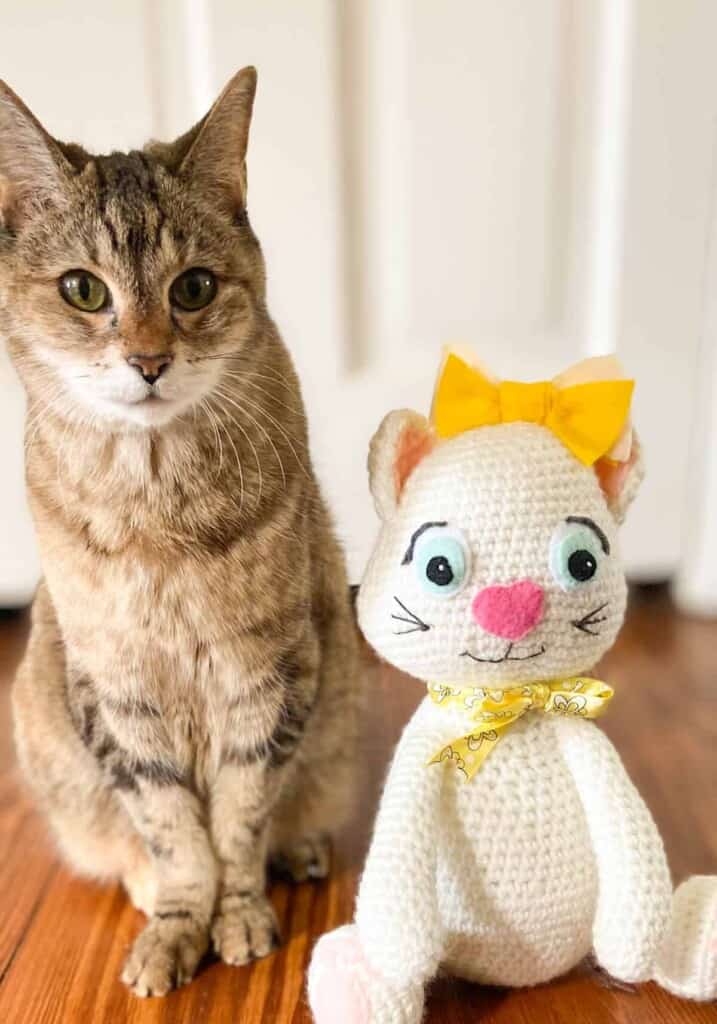 Our Pearly cat sitting next to doll