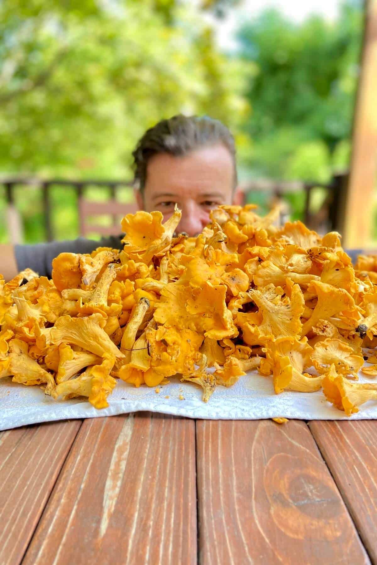 Erich behind a large pile of chanterelles.