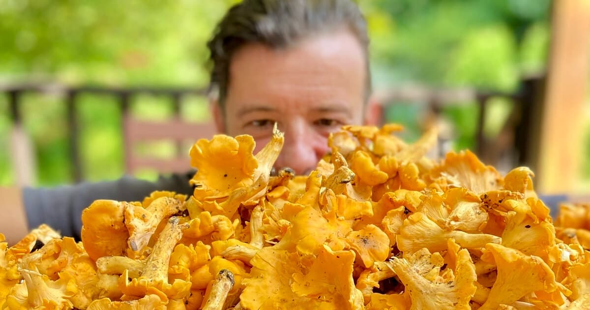 Drying Porcini Mushrooms - and other magical mushroom techniques