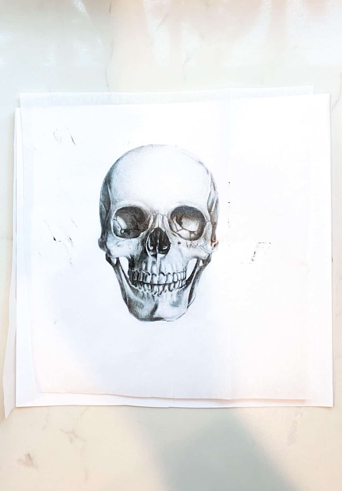 Skull image printed on tissue paper.