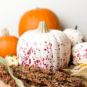 Painted pumpkins with fall grains.