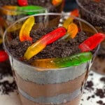 Dirt cups with Oreo cookie crumbles and gummy worms.