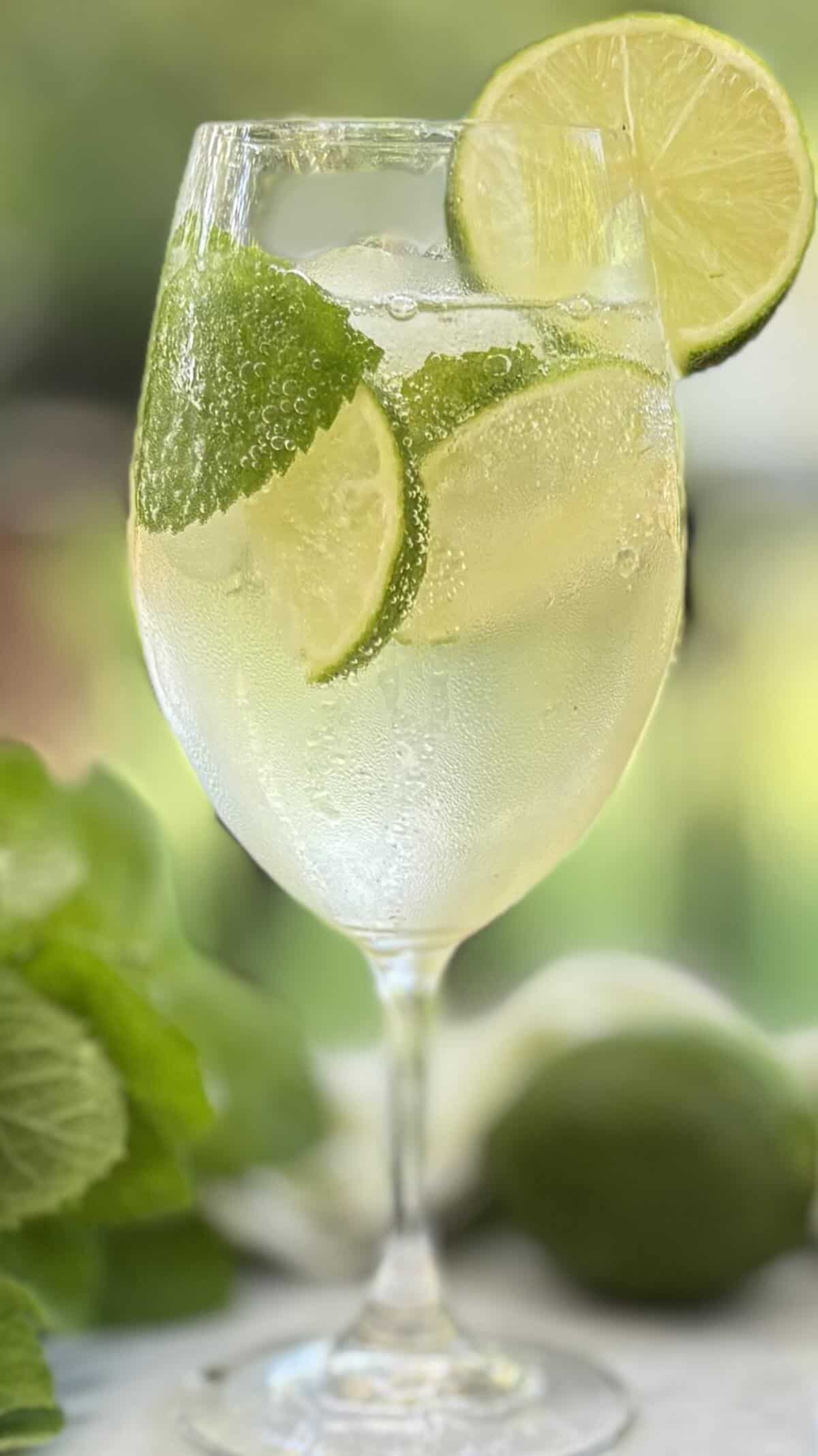 Enjoy a Hugo Spritz in a wine glass.