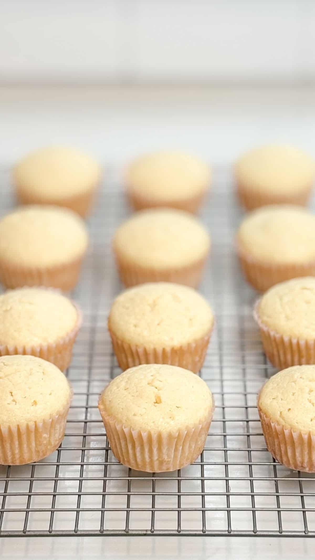 Cooling cupcakes.
